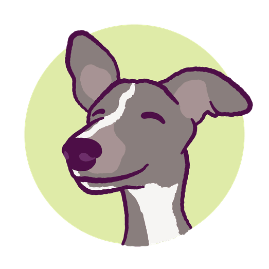 happy whippet dog